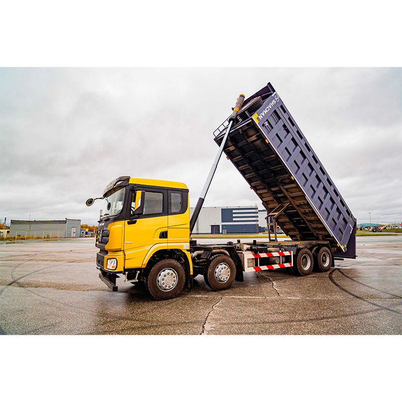 Самосвал Shacman SX331863366 (550) 8×4 - изображение 5