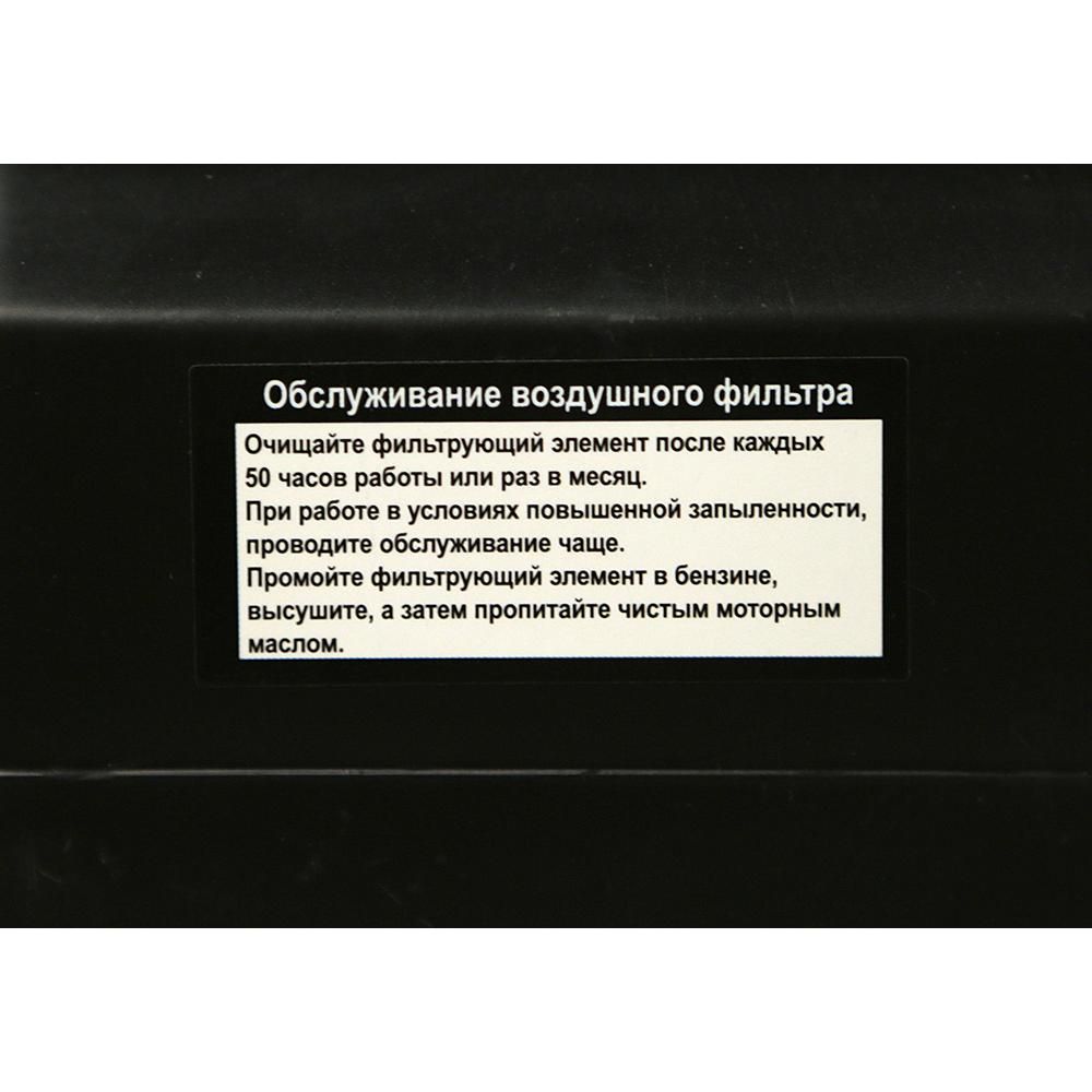 Двигатели для бензо-техники Sturm! GE168-19Q - изображение 2