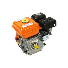 Двигатели для бензо-техники Sturm! GE170-20S - изображение 22